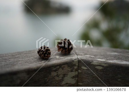 Pine cones by the lake Pine cones by the lake 139106678