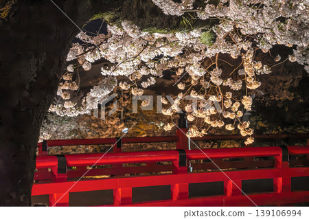 260411中橋夜櫻花g017 260411中橋夜櫻花g017 139106994