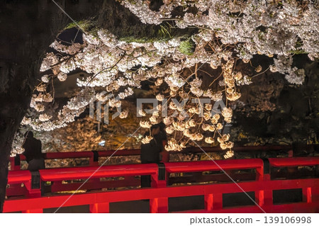 260411中橋夜櫻花g027 260411中橋夜櫻花g027 139106998