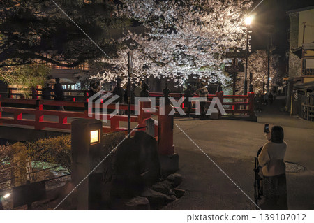 260411 Nakabashi Night Cherry Blossoms z057 260411 Nakabashi Night Cherry Blossoms z057 139107012
