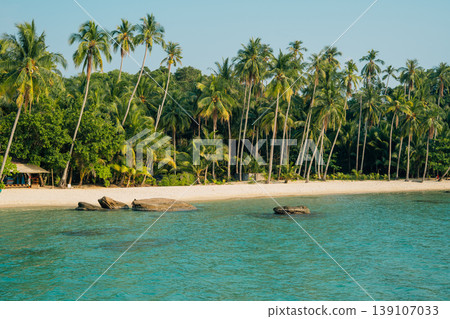 Tropical beach with white sand and coconut palm trees in Thailand. 139107033