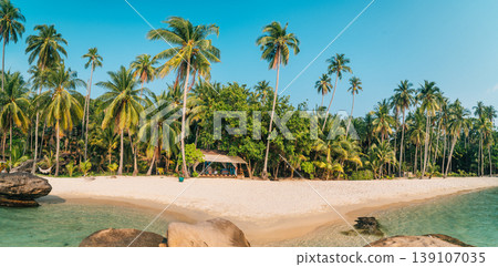 Tropical beach with white sand and coconut palm trees in Thailand. 139107035