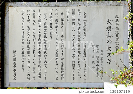 [Minamisoma City, Fukushima Prefecture Designated Natural Monument "Stone Buddha of Daihizan Mountain" and explanation of the large cedar tree of Daihizan Mountain] 139107119