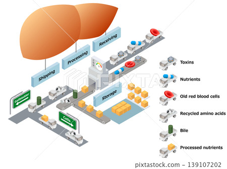 illustration, medicine, vector 139107202