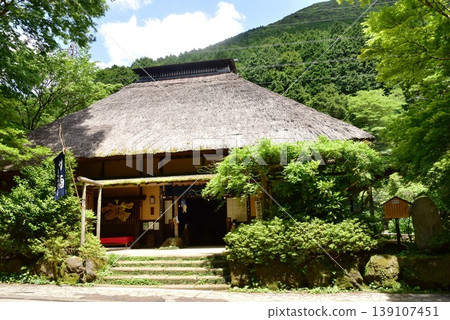 箱根町天酒茶屋和新鮮的綠色 139107451
