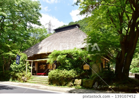 箱根町天酒茶屋和新鮮的綠色 139107452