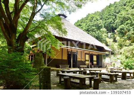 箱根町天酒茶屋和新鮮的綠色 139107453