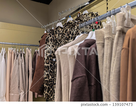 Trendy Leopard Print Blouse and Neutral Tones Apparel on Retail Clothing Rack Trendy Leopard Print Blouse and Neutral Tones Apparel on Retail Clothing Rack 139107473