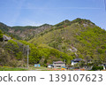 Please enjoy the mountain cherry blossoms blooming in the mountains of Sakaki Town, Hanishina District, Nagano Prefecture. 139107623