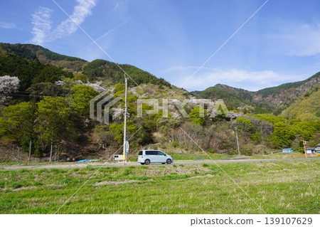 請欣賞長野縣埴科郡榊町山區盛開的山櫻。 請欣賞長野縣埴科郡榊町山區盛開的山櫻。 139107629