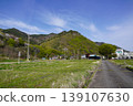 Please enjoy the mountain cherry blossoms blooming in the mountains of Sakaki Town, Hanishina District, Nagano Prefecture. 139107630