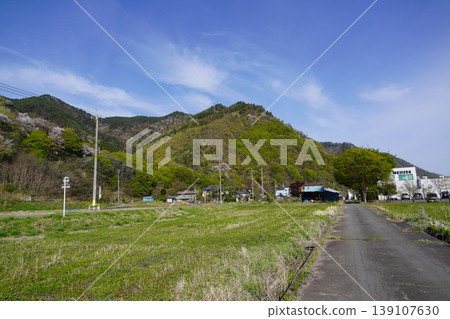 Please enjoy the mountain cherry blossoms blooming in the mountains of Sakaki Town, Hanishina District, Nagano Prefecture. 139107630