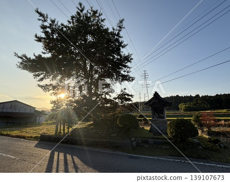 Nanto City Designated Cultural Property "Three Pine Trees" Nanto City Designated Cultural Property "Three Pine Trees" 139107673
