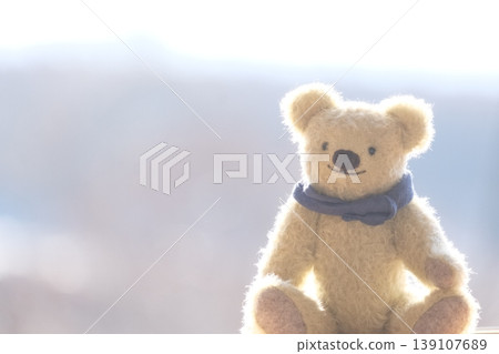 A teddy bear in the light; a green bear; space on the left. A teddy bear in the light; a green bear; space on the left. 139107689