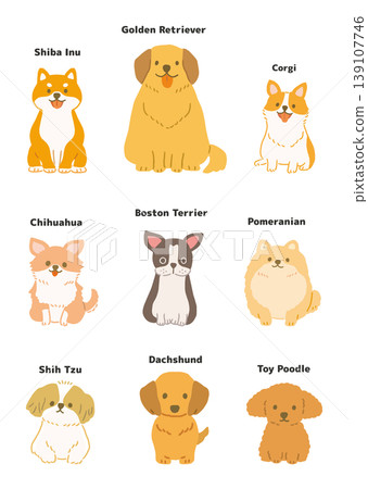 A set of cute illustrations of various types of dogs (front view) 139107746