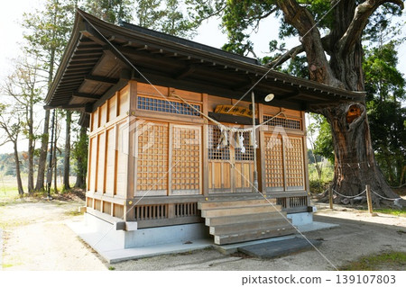 【雙葉町:前田稻荷神社,福島縣指定天然紀念物,以前田雪松為特色】 【雙葉町:前田稻荷神社,福島縣指定天然紀念物,以前田雪松為特色】 139107803