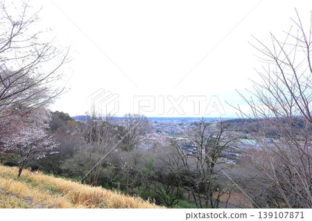 富士山公園/栃木郡鹿沼市 139107871