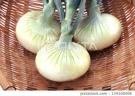 Freshly picked new onions in a basket Freshly picked new onions in a basket 139108006