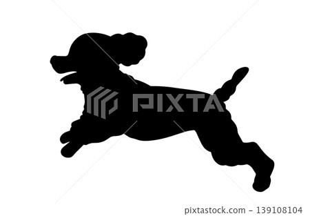 Silhouette of a running toy poodle Silhouette of a running toy poodle 139108104