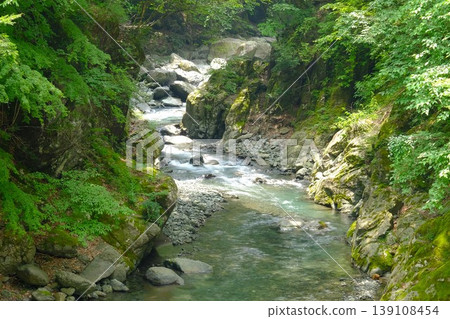 【神奈川縣】清澈的溪流流經翠綠的山谷 【神奈川縣】清澈的溪流流經翠綠的山谷 139108454