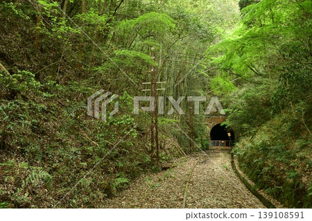 Strolling along the abandoned Meitetsu Mikawa Line railway line amidst the fresh greenery. Strolling along the abandoned Meitetsu Mikawa Line railway line amidst the fresh greenery. 139108591