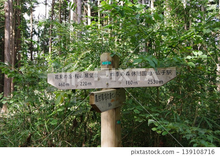 Signpost on a mountain path Signpost on a mountain path 139108716