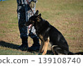 Training scene of military dogs 139108740