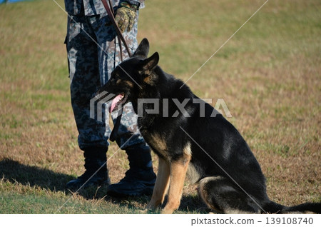 軍犬訓練場景 軍犬訓練場景 139108740