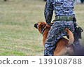 Military dog training scene 139108788