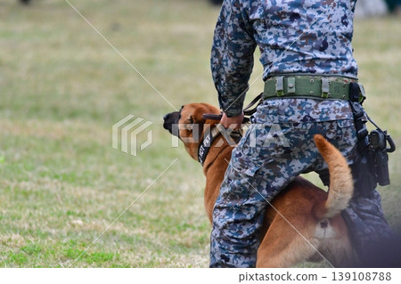 Military dog training scene Military dog training scene 139108788