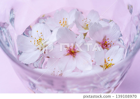 [Spring Theme] Cherry blossoms floating in a glass [Cherry Blossom Theme] 139108970
