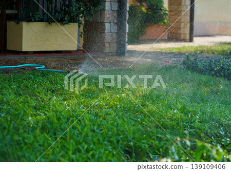 Sprinkler system watering green lawn near house patio, irrigation for garden maintenance and fresh grass growth in sunny outdoor residential area 139109406