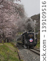 SL Paleo Express and cherry blossom trees 139109516