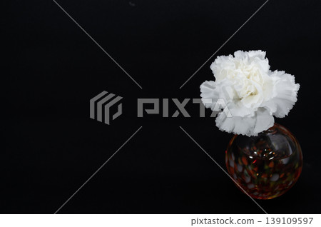 A single white carnation in a warm-colored, spherical glass vase floats in the darkness (placed on the right). 139109597