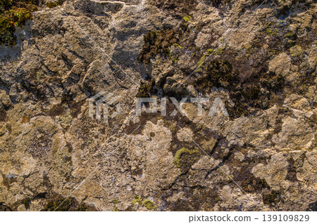 Close-up of weathered granite rock texture with moss and lichen 139109829