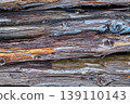 Weathered log texture 139110143
