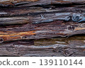 Weathered log texture 139110144
