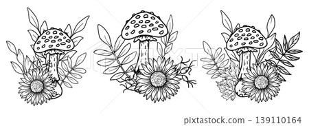 Composition of mushroom with sunflower, rose hips, maple leaves. Botanical vector illustration. Hand drawn in black ink. Outline drawing of fly agaric and berries for seasonal holidays, Thanksgiving. Composition of mushroom with sunflower, rose hips, maple leaves. Botanical vector illustration. Hand drawn in black ink. Outline drawing of fly agaric and berries for seasonal holidays, Thanksgiving. 139110164
