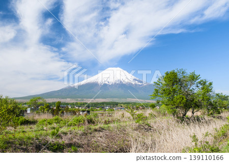 從山梨縣的Oshinomura看到的新鮮的綠色和富士山 139110166