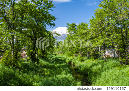 從山梨縣的Oshinomura看到的新鮮的綠色和富士山 139110167