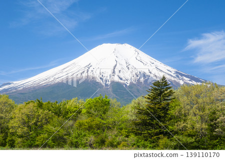 從山梨縣的Oshinomura看到的新鮮的綠色和富士山 139110170