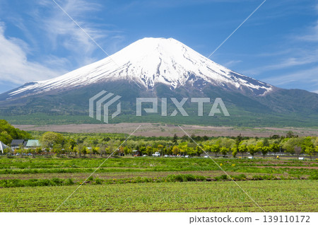 從山梨縣的Oshinomura看到的新鮮的綠色和富士山 139110172