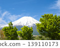 從山梨縣的Oshinomura看到的新鮮的綠色和富士山 139110173