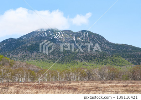 從群馬縣片科村尾瀨濕地看到的日內岳和翠綠的景色。 139110421
