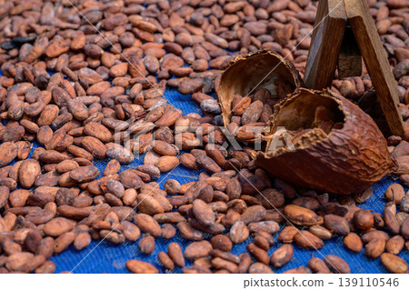 Cocoa beans is laid drying naturally in an open-air space. Cocoa beans is laid drying naturally in an open-air space. 139110546
