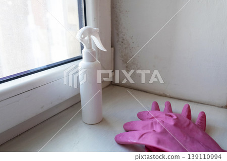 Person in pink gloves cleaning mold on window sill and walls using antifungal spray. Removing toxic black mold and mildew from window frame and plaster. Home maintenance and hygiene. Person in pink gloves cleaning mold on window sill and walls using antifungal spray. Removing toxic black mold and mildew from window frame and plaster. Home maintenance and hygiene. 139110994