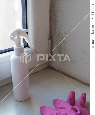 Person in pink gloves cleaning mold on window sill and walls using antifungal spray. Removing toxic black mold and mildew from window frame and plaster. Home maintenance and hygiene. Person in pink gloves cleaning mold on window sill and walls using antifungal spray. Removing toxic black mold and mildew from window frame and plaster. Home maintenance and hygiene. 139110995
