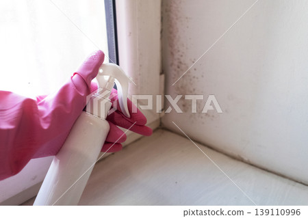 Person in pink gloves cleaning mold on window sill and walls using antifungal spray. Removing toxic black mold and mildew from window frame and plaster. Home maintenance and hygiene. Person in pink gloves cleaning mold on window sill and walls using antifungal spray. Removing toxic black mold and mildew from window frame and plaster. Home maintenance and hygiene. 139110996