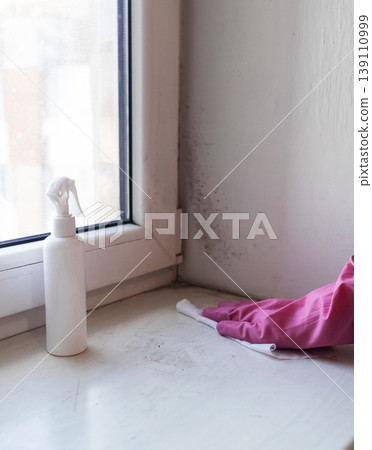 Person in pink gloves cleaning mold on window sill and walls using antifungal spray. Removing toxic black mold and mildew from window frame and plaster. Home maintenance and hygiene. Person in pink gloves cleaning mold on window sill and walls using antifungal spray. Removing toxic black mold and mildew from window frame and plaster. Home maintenance and hygiene. 139110999
