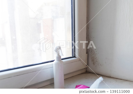 Person in pink gloves cleaning mold on window sill and walls using antifungal spray. Removing toxic black mold and mildew from window frame and plaster. Home maintenance and hygiene. Person in pink gloves cleaning mold on window sill and walls using antifungal spray. Removing toxic black mold and mildew from window frame and plaster. Home maintenance and hygiene. 139111000